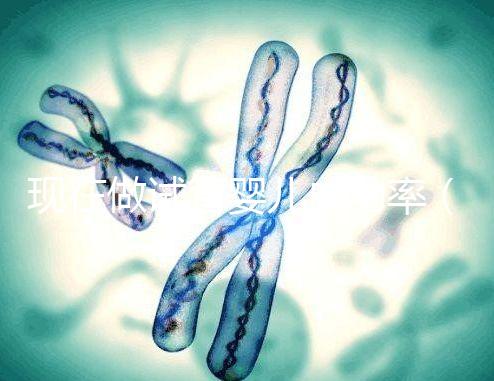 現在做試管嬰兒成功率(現在做試管嬰兒成功率高嗎)