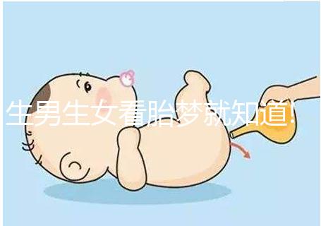 生男生女看胎夢(mèng)就知道!孕婦夢(mèng)見花寓意解讀