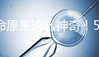 生命原來(lái)這么神奇!5個(gè)步驟詮釋胚胎培育的全過(guò)程