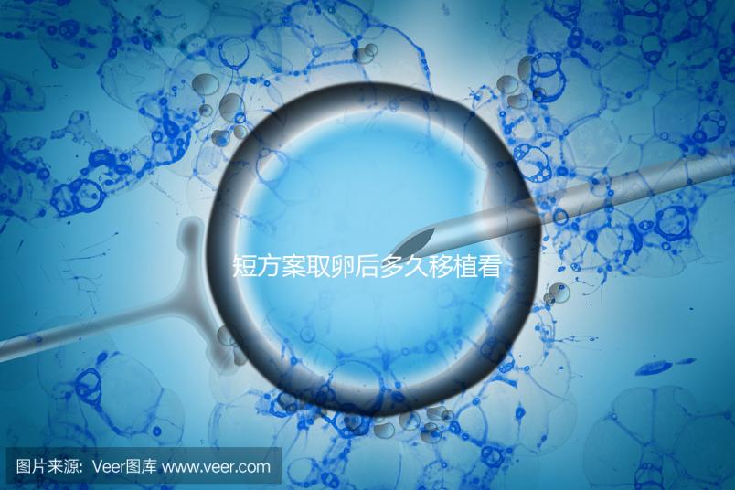 短方案取卵后多久移植看時(shí)機(jī),關(guān)于試管你要知道一些事