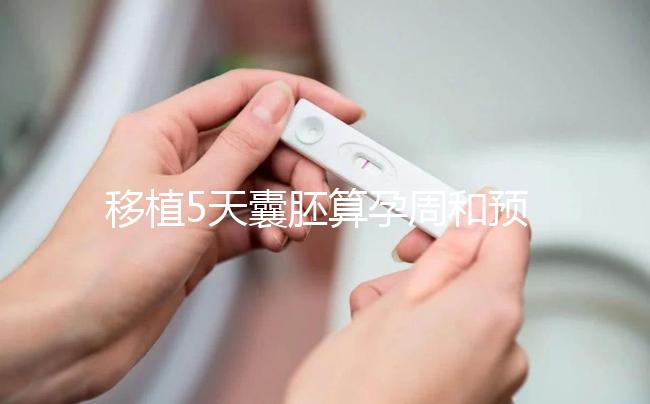 移植5天囊胚算孕周和預(yù)產(chǎn)期有訣竅,專家:用這2種方法