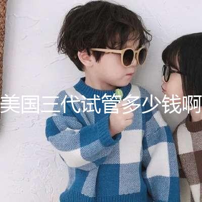 美國三代試管多少錢啊