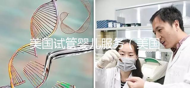 美國試管嬰兒服務(美國試管嬰兒服務套餐)