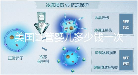 美國試管嬰兒多少錢一次?2025費用清單與避坑指南!