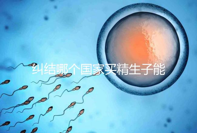糾結哪個國家買精生子能看照片快收藏!血型、身高可了解