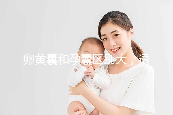 卵黃囊和孕囊區別大，透過B超首次為你揭露其形狀