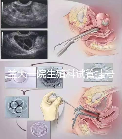 蘭大一院生殖科試管掛號多少錢別還不造，預約攻略來了