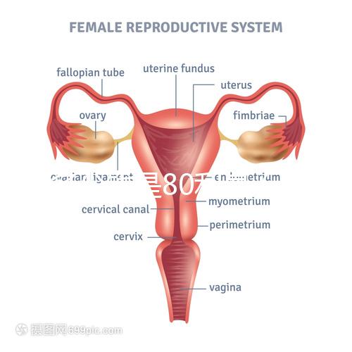 借多少錢是80利息（借多少錢是80利息的）
