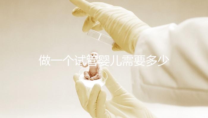 做一個試管嬰兒需要多少錢