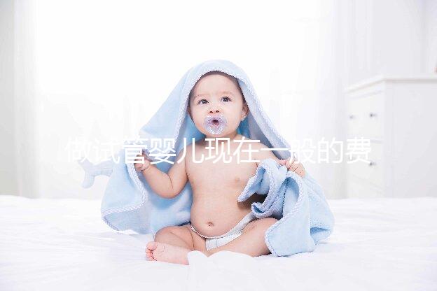做試管嬰兒現在一般的費用是多少