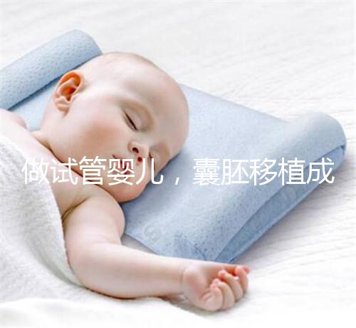 做試管嬰兒，囊胚移植成功懷孕的幾率更高？