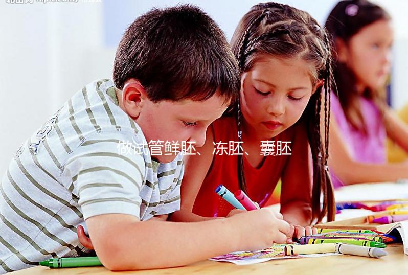 做試管鮮胚、凍胚、囊胚有什么區別？移植哪種成功率更高？