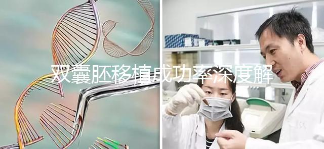 雙囊胚移植成功率深度解析:試管嬰兒成功的關(guān)鍵所在