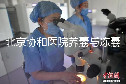北京協(xié)和醫(yī)院養(yǎng)囊與凍囊費用參考,做好這4點成功率上漲