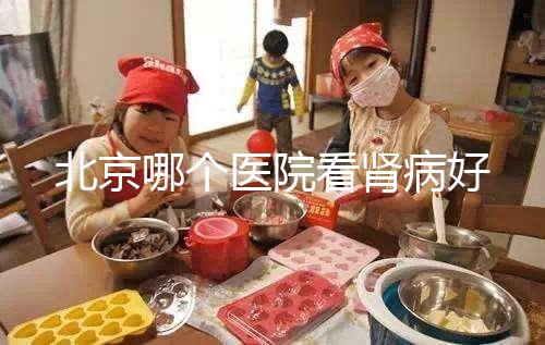 北京哪個醫(yī)院看腎病好