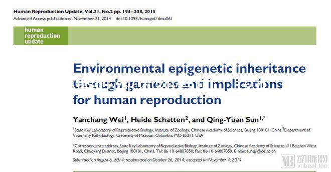 冬季吃紅棗補氣血，這4大禁忌孕婦千萬別犯