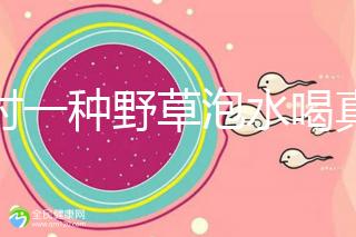 農(nóng)村一種野草泡水喝真能治便秘！配合這九種中草藥效果更好