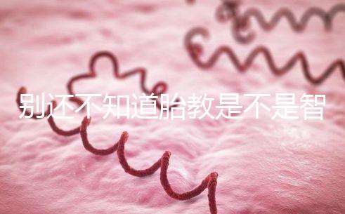 別還不知道胎教是不是智商稅,有沒有用來聽聽專家怎么說