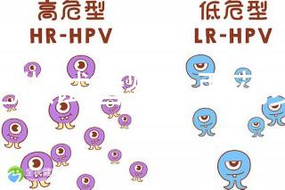 合肥做試管嬰兒要花多少錢？進周期前這些注意事項都來看看
