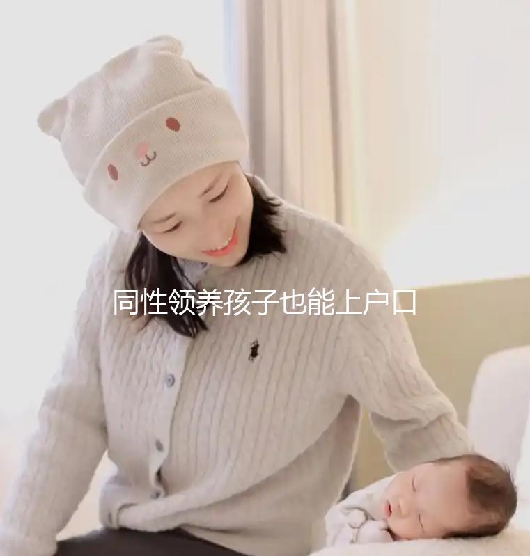 同性領養孩子也能上戶口,準備好這些材料解你燃眉之急