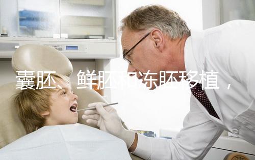 囊胚、鮮胚和凍胚移植，哪一種移植成功率更高？