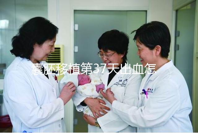 囊胚移植第37天出血怎么保胎?做到這3點就不用擔心流產(chǎn)