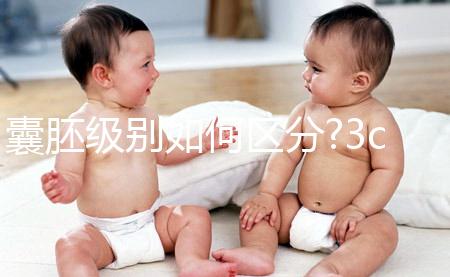 囊胚級別如何區(qū)分?3cb和3bc等級相仿,有移植需要