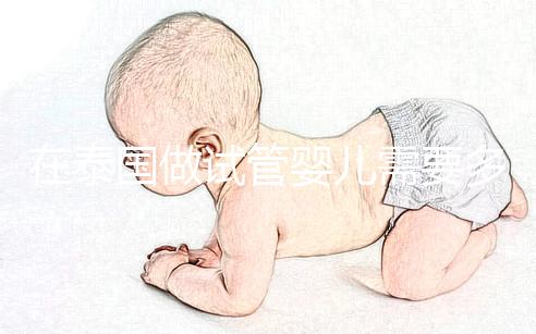 在泰國(guó)做試管嬰兒需要多長(zhǎng)時(shí)間?這些步驟缺一不可?