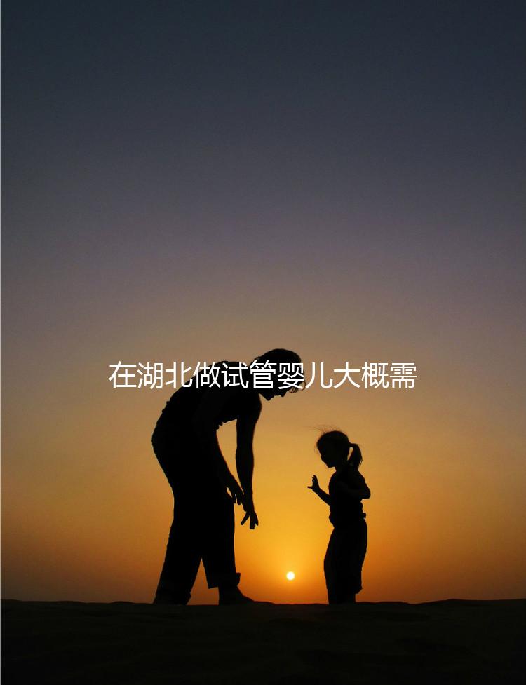 在湖北做試管嬰兒大概需要準備多少費用?詳細費用解析