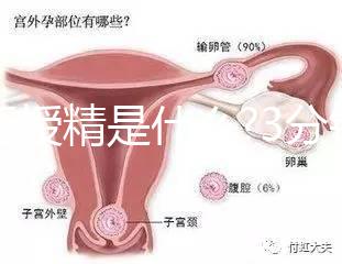 人工授精是什么?3分鐘讀完這篇文章，解答你所有疑問