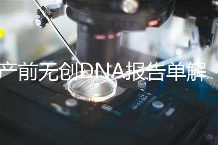 產(chǎn)前無創(chuàng)DNA報告單解讀：三項結(jié)果竟然暗示寶寶性別