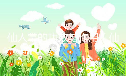 仙人掌的功效與作用(仙人掌的功效與作用治什么病)