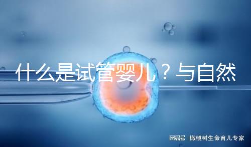 什么是試管嬰兒？與自然懷孕的小孩有區(qū)別嗎？一文告訴你！