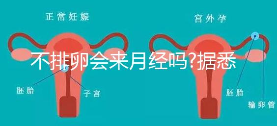 不排卵會來月經(jīng)嗎?據(jù)悉并不會推遲"大姨媽"的到來
