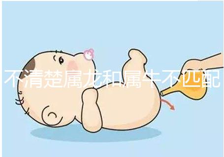 不清楚屬龍和屬牛不匹配戳，再一起看財(cái)運(yùn)就夠了