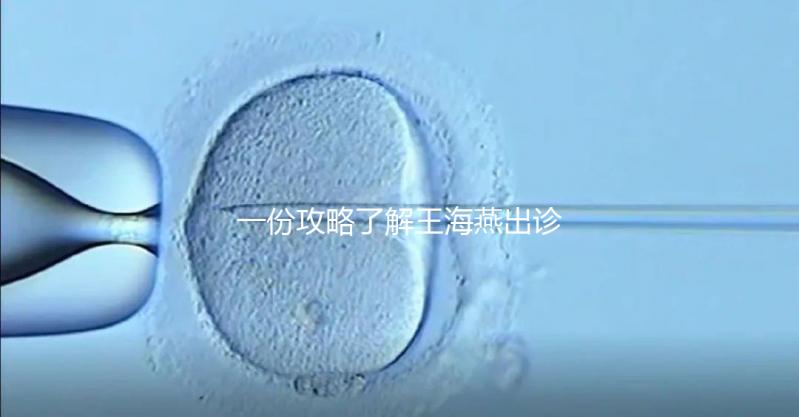 一份攻略了解王海燕出診表，讓你在北醫三院掛號更簡單