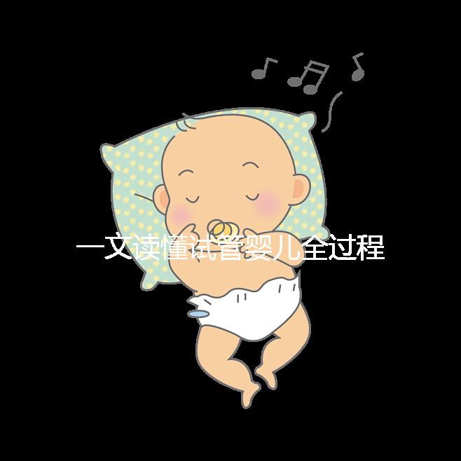 一文讀懂試管嬰兒全過程