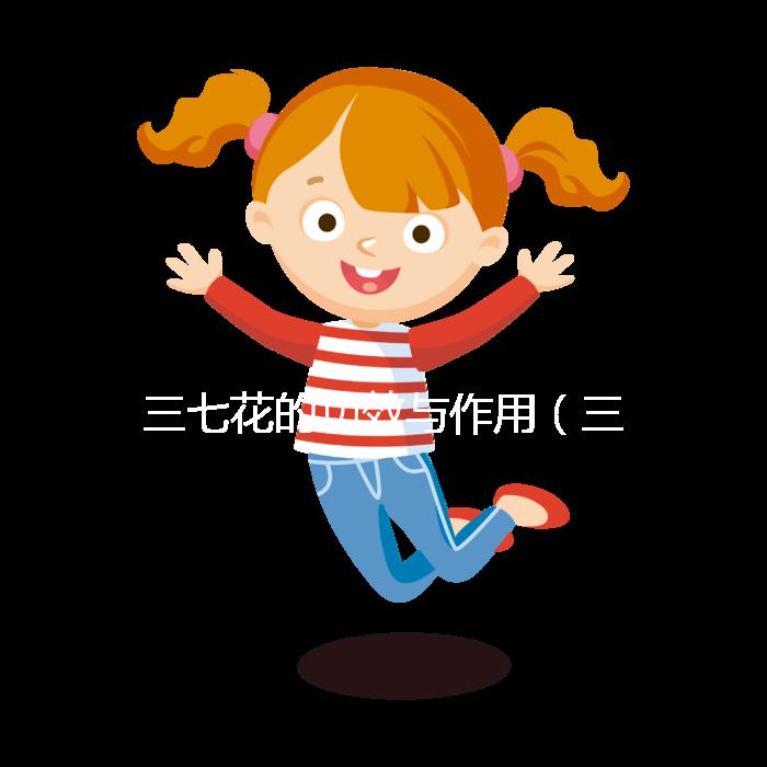 三七花的功效與作用（三七花的功效與作用主治與用量）