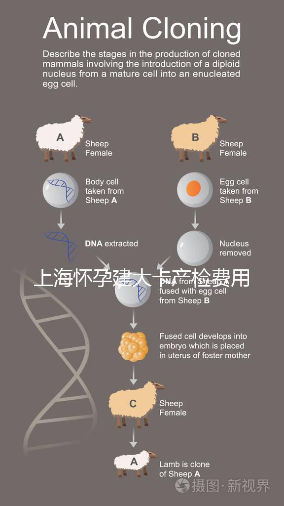 上海懷孕建大卡產檢費用分享，不同地區收費標準差別大！