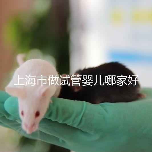 上海市做試管嬰兒哪家好?2025年權(quán)威醫(yī)院排名與成功率詳細(xì)對比