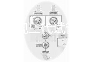 中國正規三代試管嬰兒機構名單,2025生殖機構排名參考