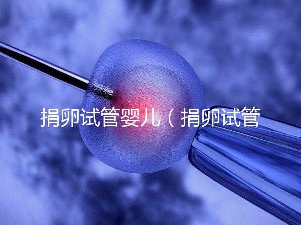 捐卵試管嬰兒(捐卵試管嬰兒費用)