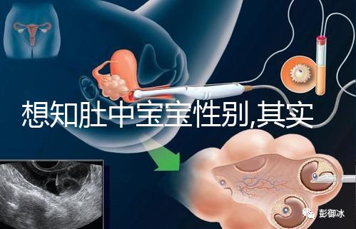 想知肚中寶寶性別,其實唐篩單子上有男女暗示