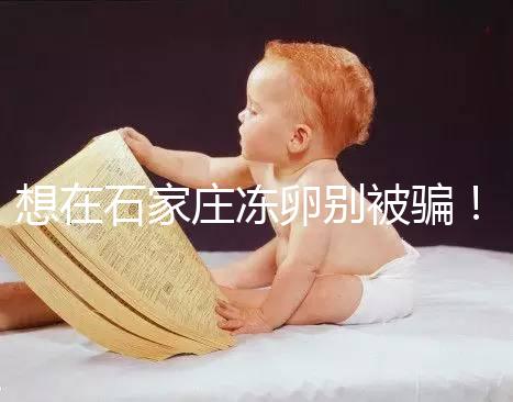 想在石家莊凍卵別被騙！單身未婚女性首選泰國和美國