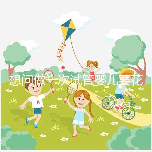 想問做一次試管嬰兒要花多少錢呢