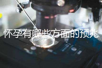 懷孕有哪些方面的預兆