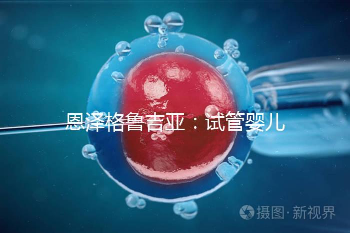 恩澤格魯吉亞：試管嬰兒助孕囊胚移植后，著床時(shí)間全解析