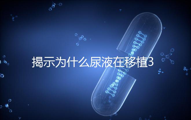 揭示為什么尿液在移植30天后需要稀釋才能測量，正常情況下不一目了然