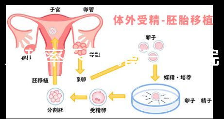 成功率不是試管三甲醫院或私立醫院的唯一標準