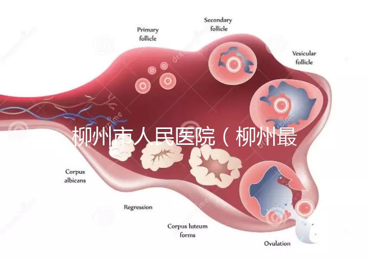 柳州市人民醫(yī)院（柳州最厲害的三個醫(yī)院）